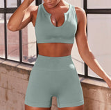 Ribbed Seamless Shorts Set (multiple colors)